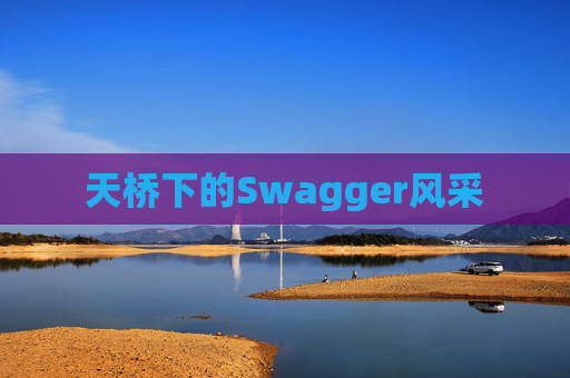 天桥下的Swagger风采